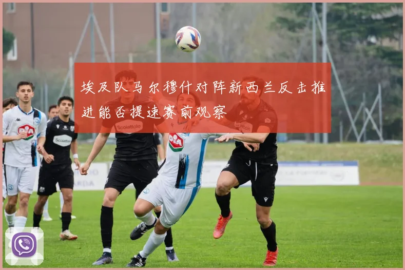 埃及队马尔穆什对阵新西兰反击推进能否提速赛前观察
