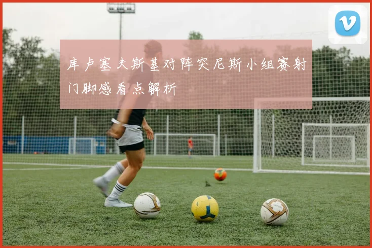 库卢塞夫斯基对阵突尼斯小组赛射门脚感看点解析