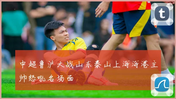 中超鲁沪大战山东泰山上海海港主帅怒吼名场面